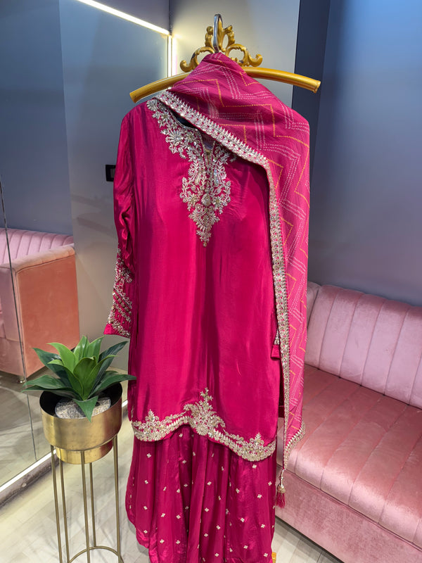 Zari Embroidered Pallazo Set