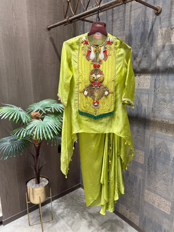 Handworked Organza Indowestern